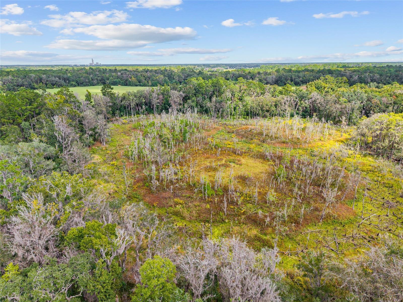 Image 23 of 38 For 8543 71 Terrace