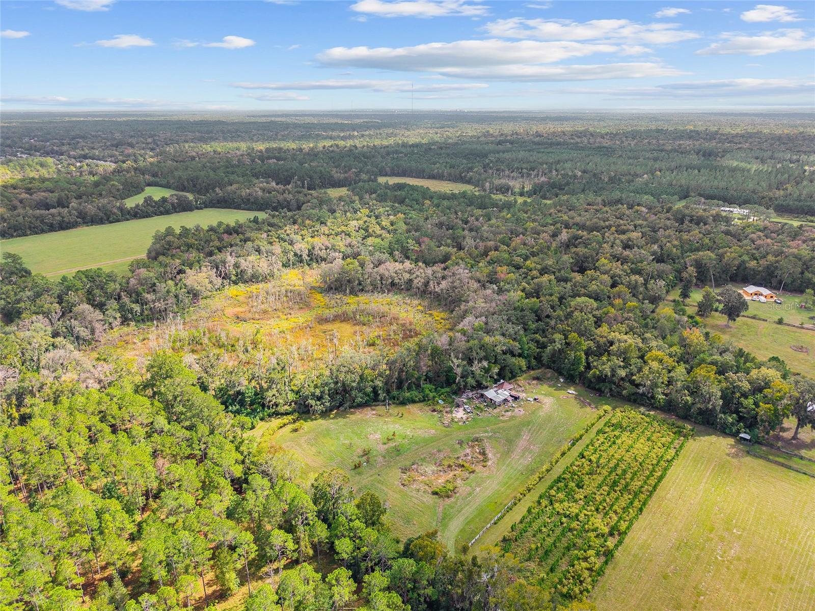 Image 3 of 38 For 8543 71 Terrace