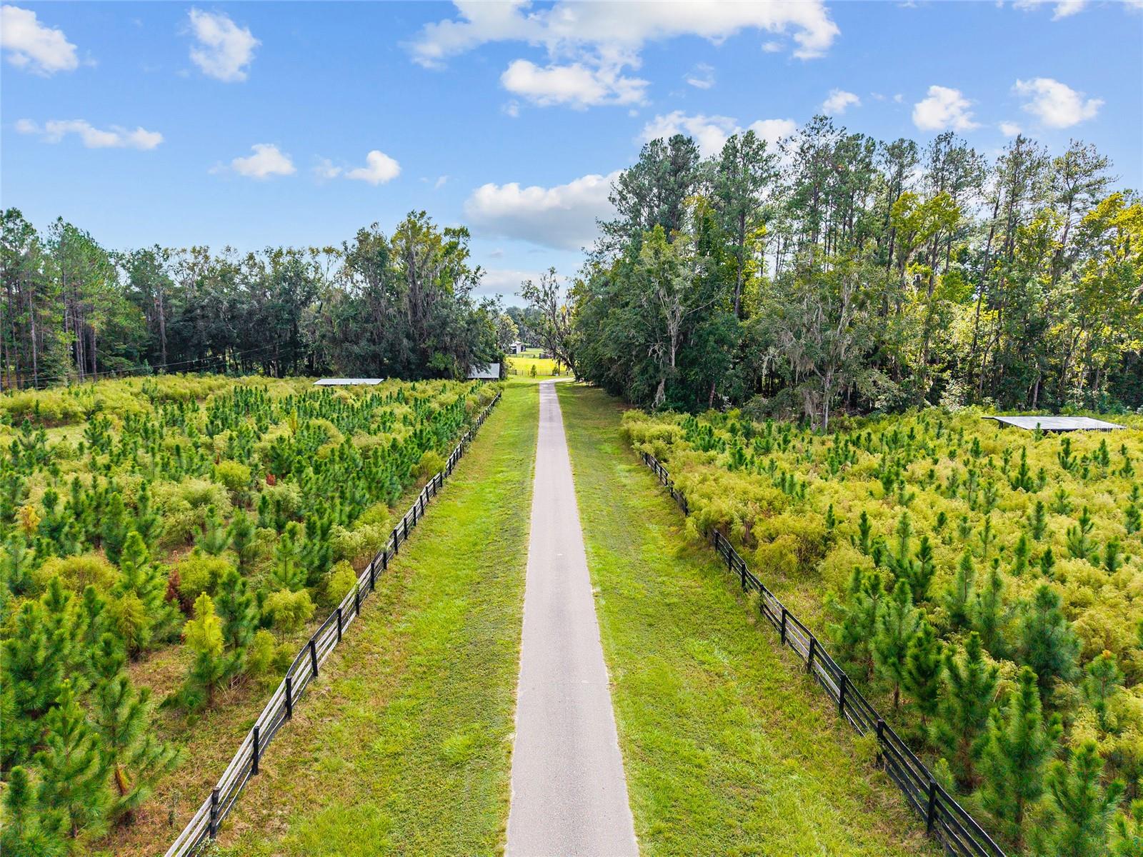 Image 5 of 38 For 8543 71 Terrace