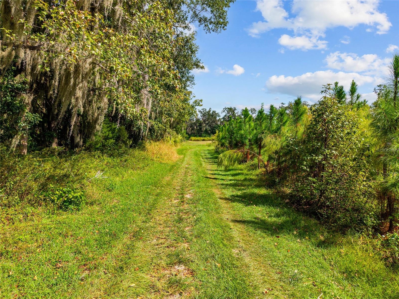 Image 8 of 38 For 8543 71 Terrace