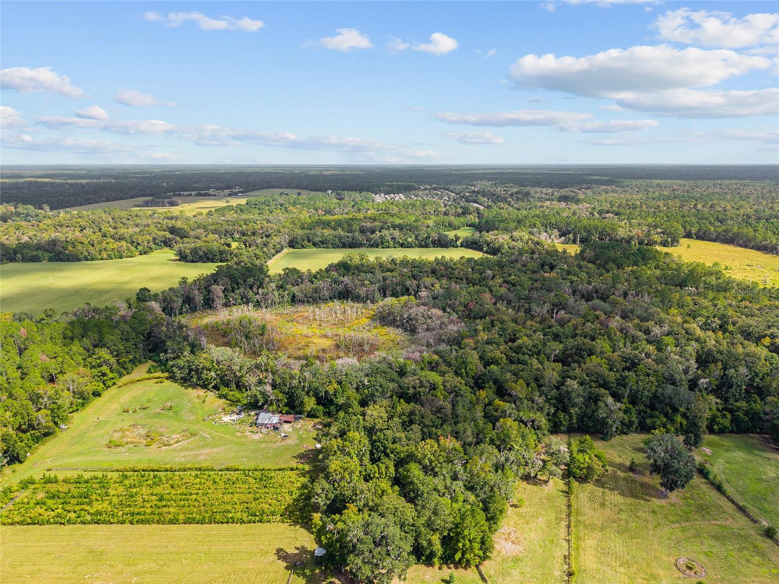 Image 9 of 38 For 8543 71 Terrace