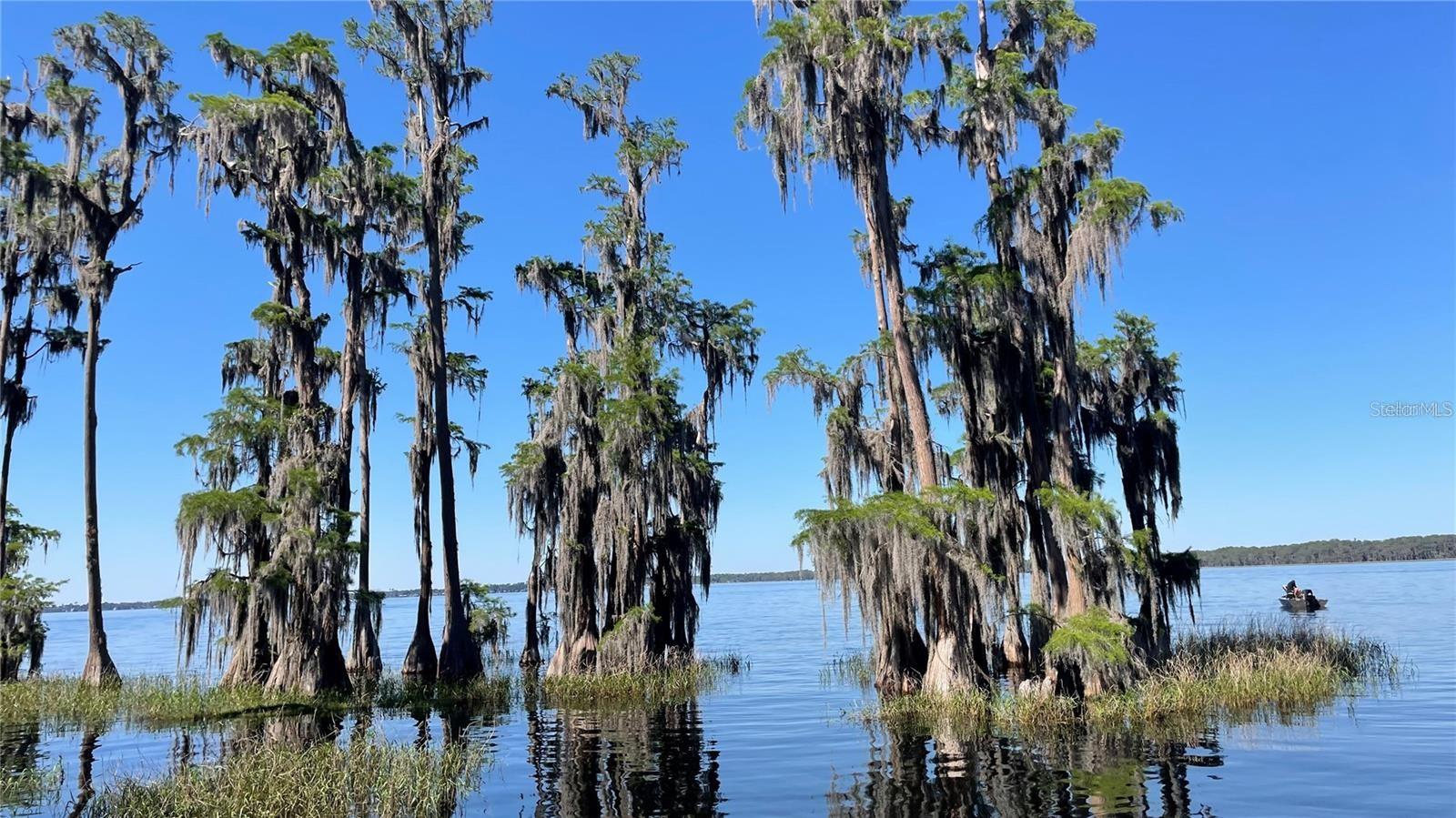 Image 34 of 34 For 381 5th Avenue