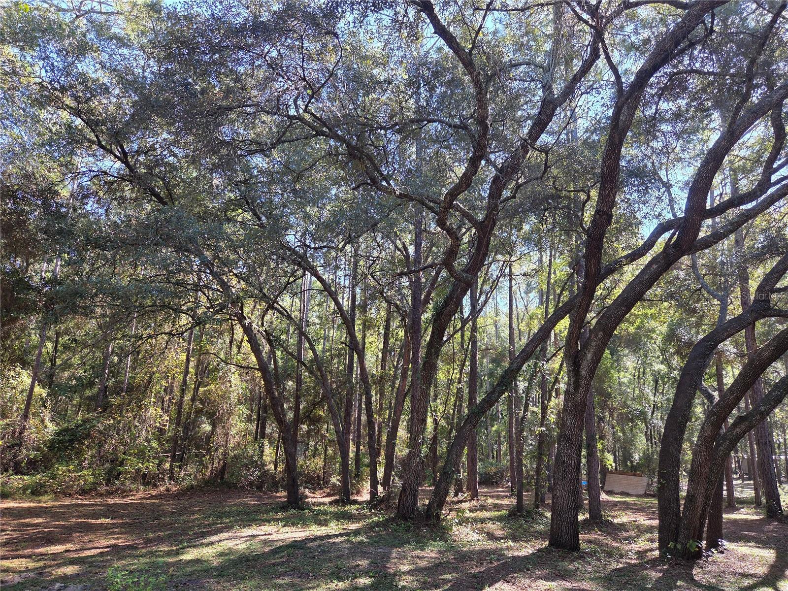 Image 31 of 33 For 118 Lemon Street