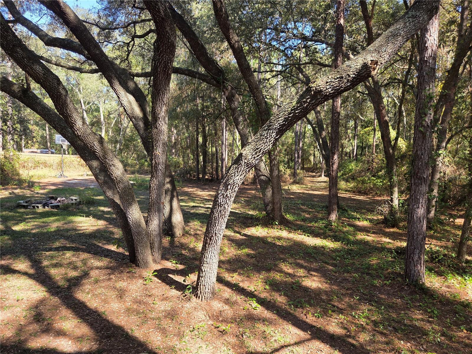 Image 32 of 33 For 118 Lemon Street