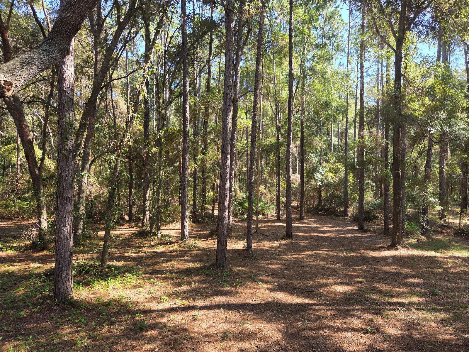 Image 33 of 33 For 118 Lemon Street