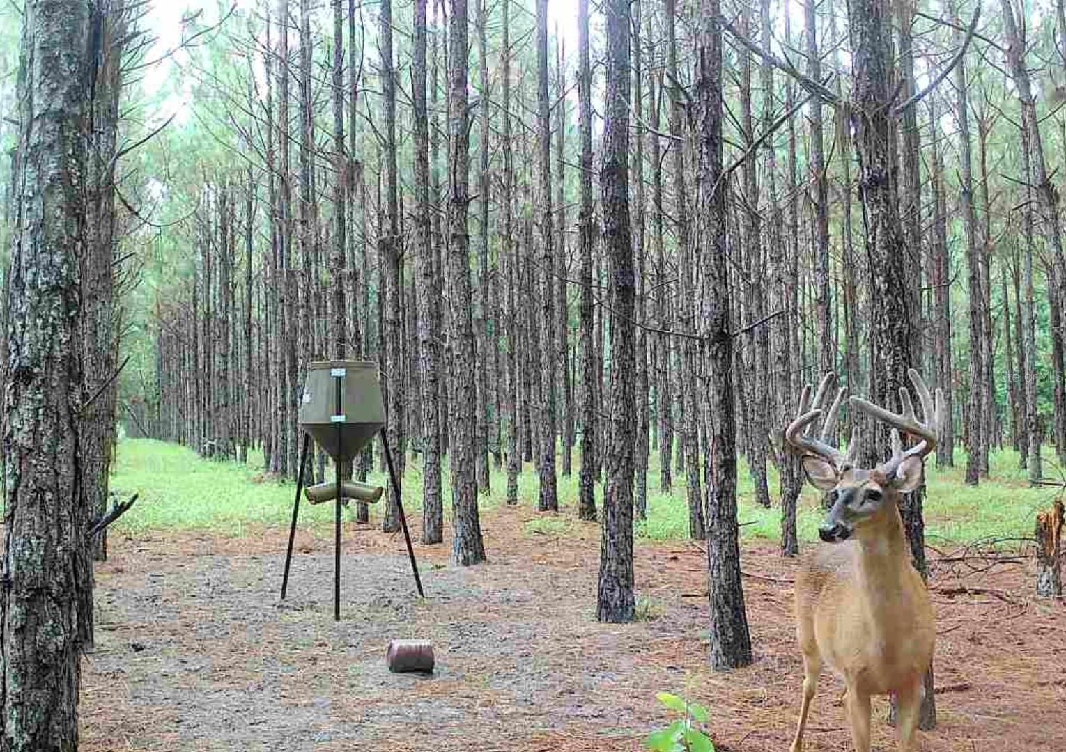 Image 10 of 33 For 000 78th Avenue