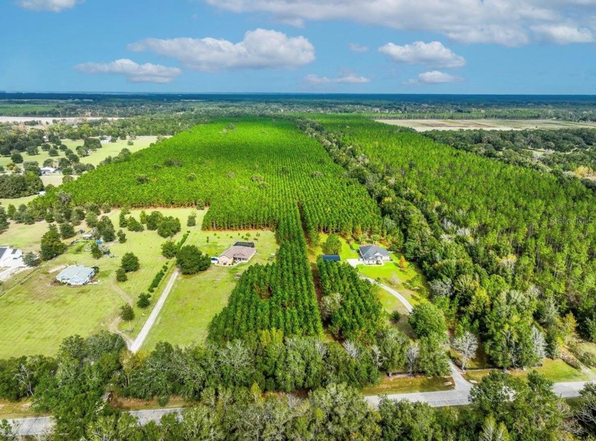 Image 11 of 33 For 000 78th Avenue