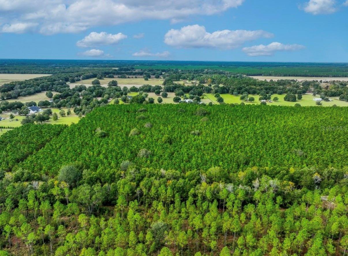 Image 12 of 33 For 000 78th Avenue