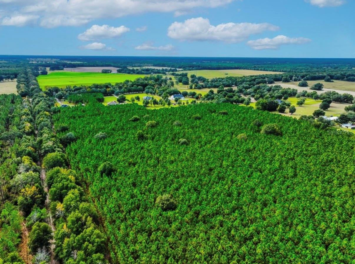 Image 13 of 33 For 000 78th Avenue