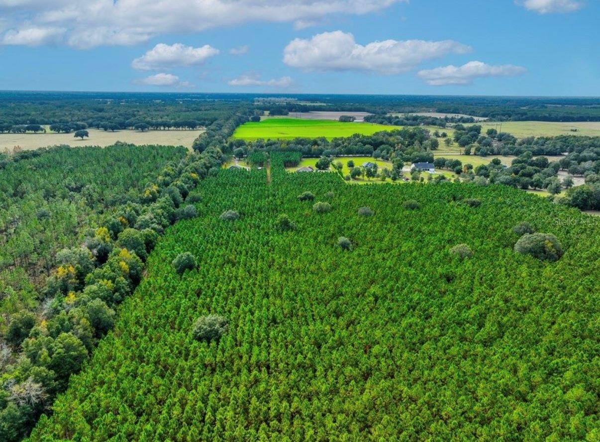 Image 14 of 33 For 000 78th Avenue