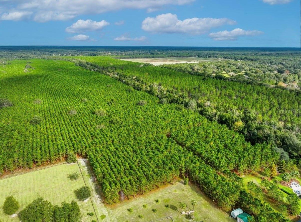 Image 16 of 33 For 000 78th Avenue