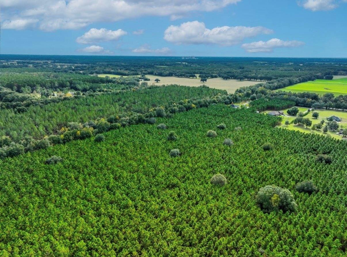 Image 17 of 33 For 000 78th Avenue