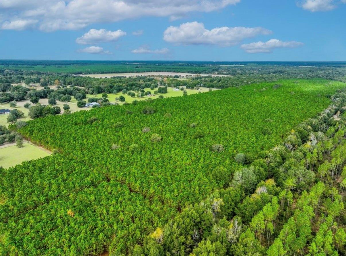 Image 18 of 33 For 000 78th Avenue