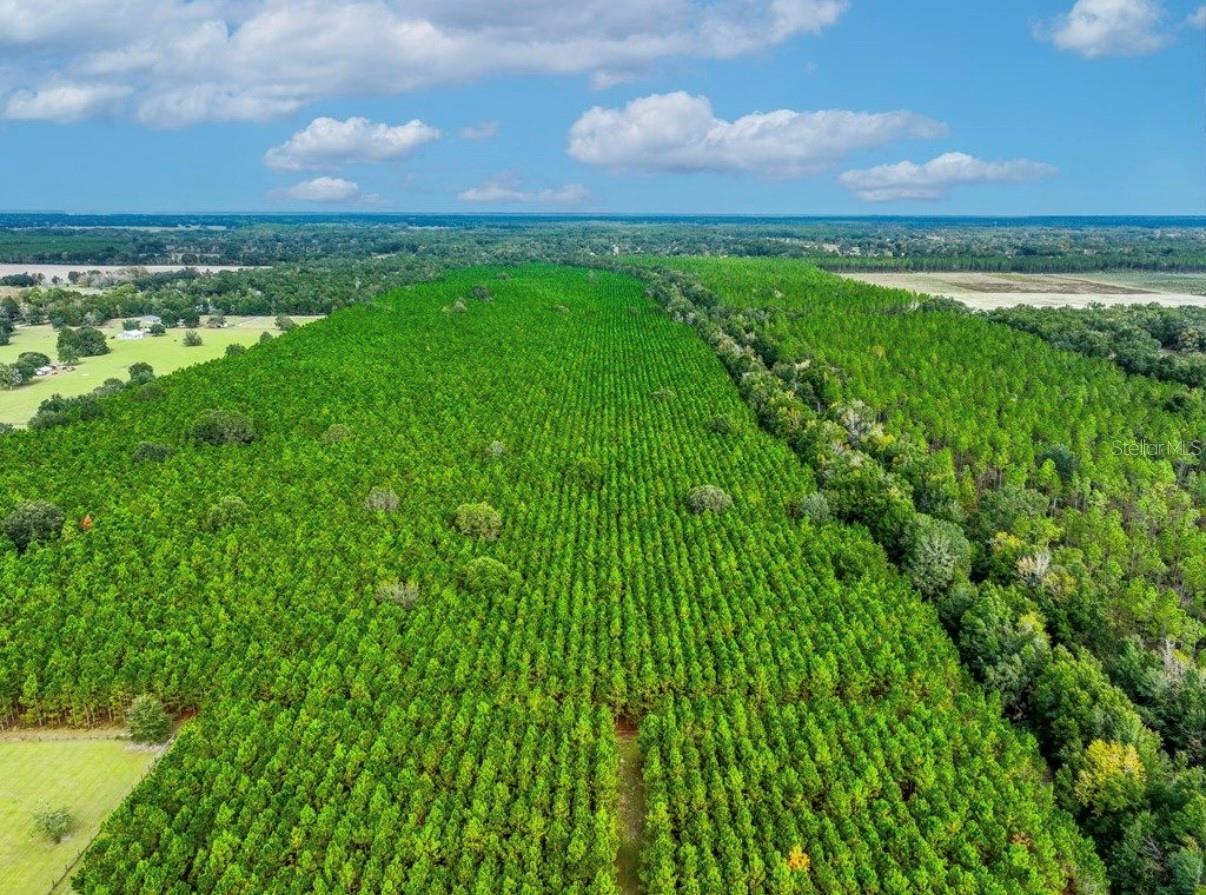 Image 19 of 33 For 000 78th Avenue