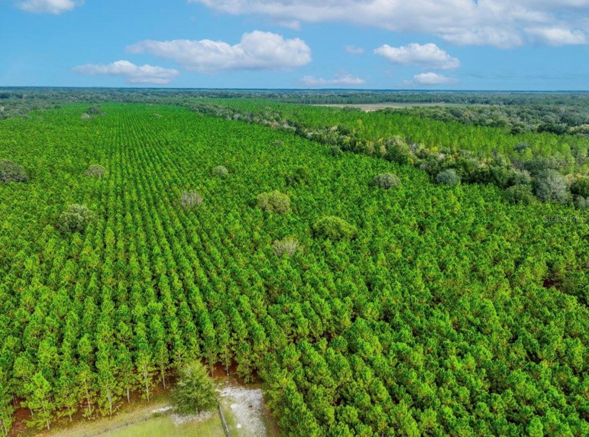 Image 20 of 33 For 000 78th Avenue