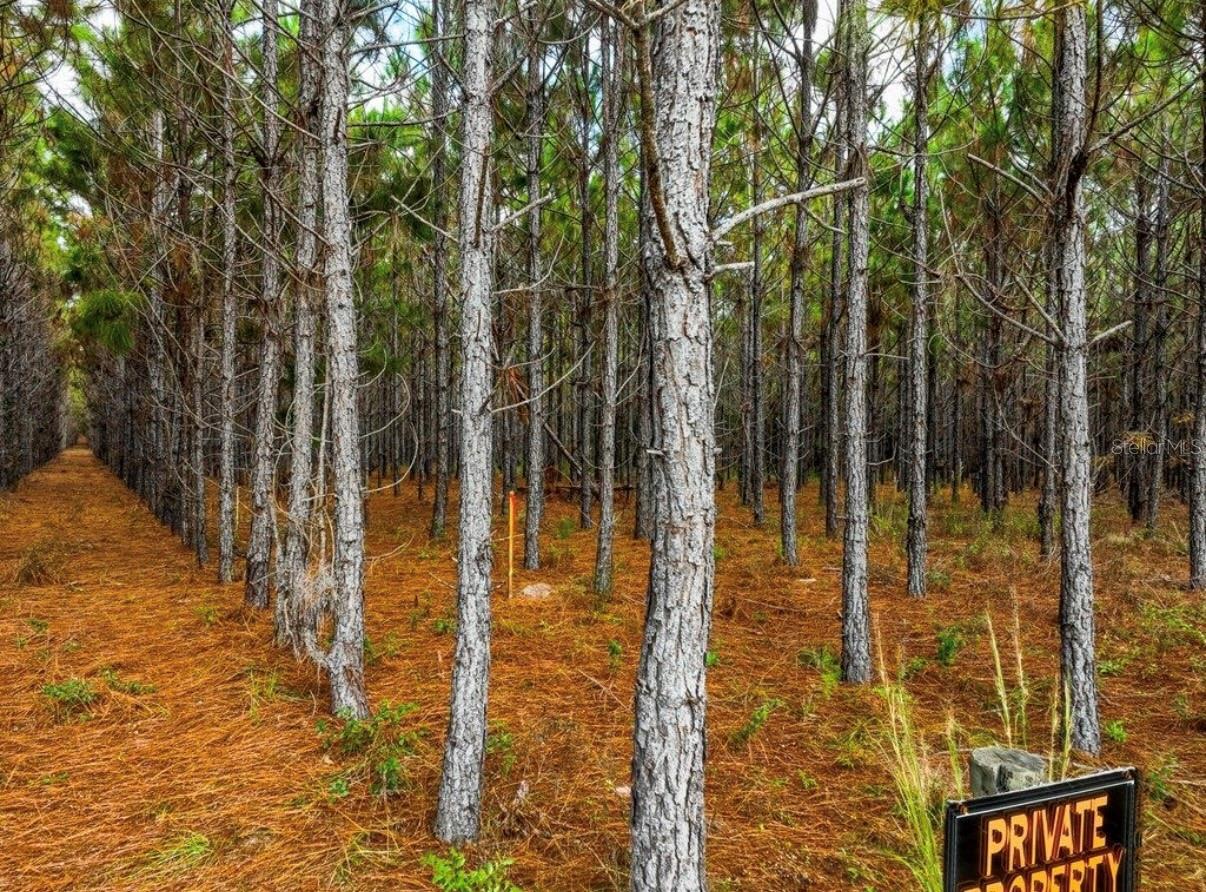 Image 22 of 33 For 000 78th Avenue