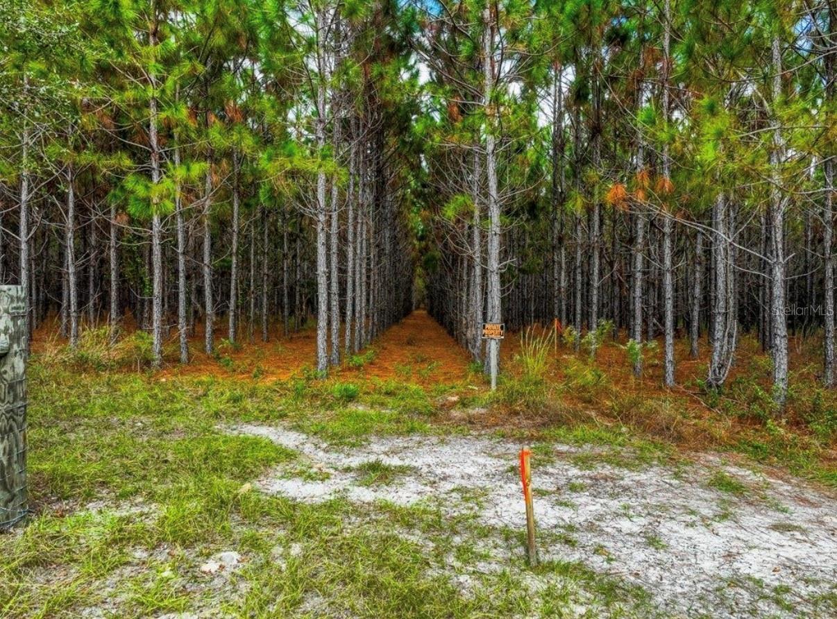 Image 23 of 33 For 000 78th Avenue