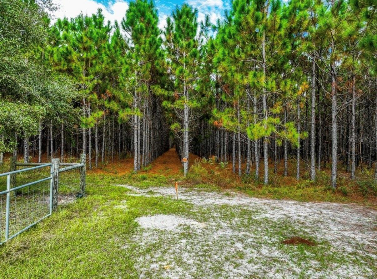 Image 24 of 33 For 000 78th Avenue