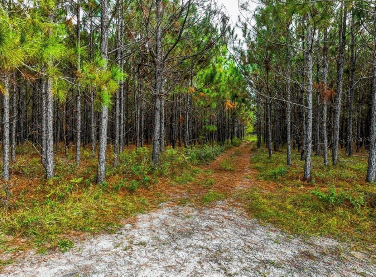 Image 26 of 33 For 000 78th Avenue