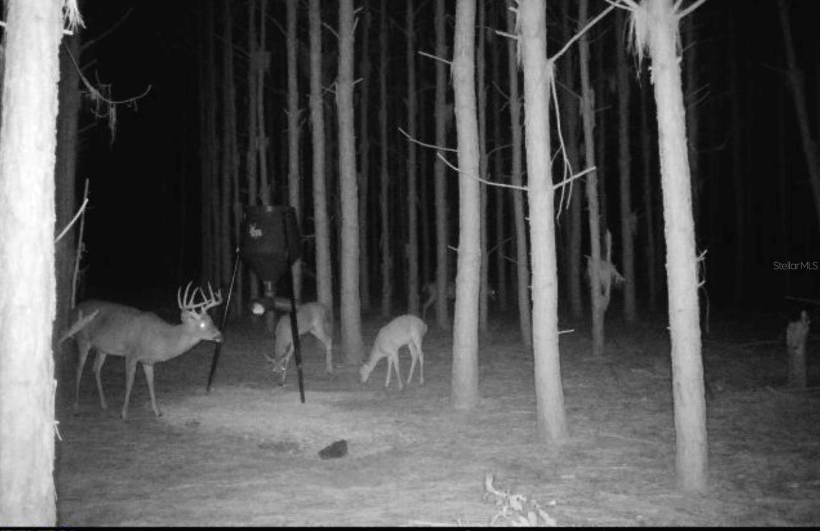 Image 32 of 33 For 000 78th Avenue