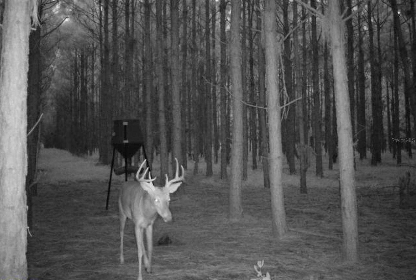 Image 33 of 33 For 000 78th Avenue