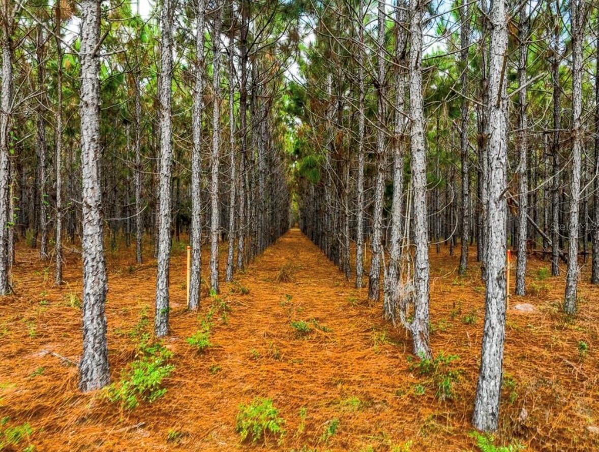 Image 4 of 33 For 000 78th Avenue