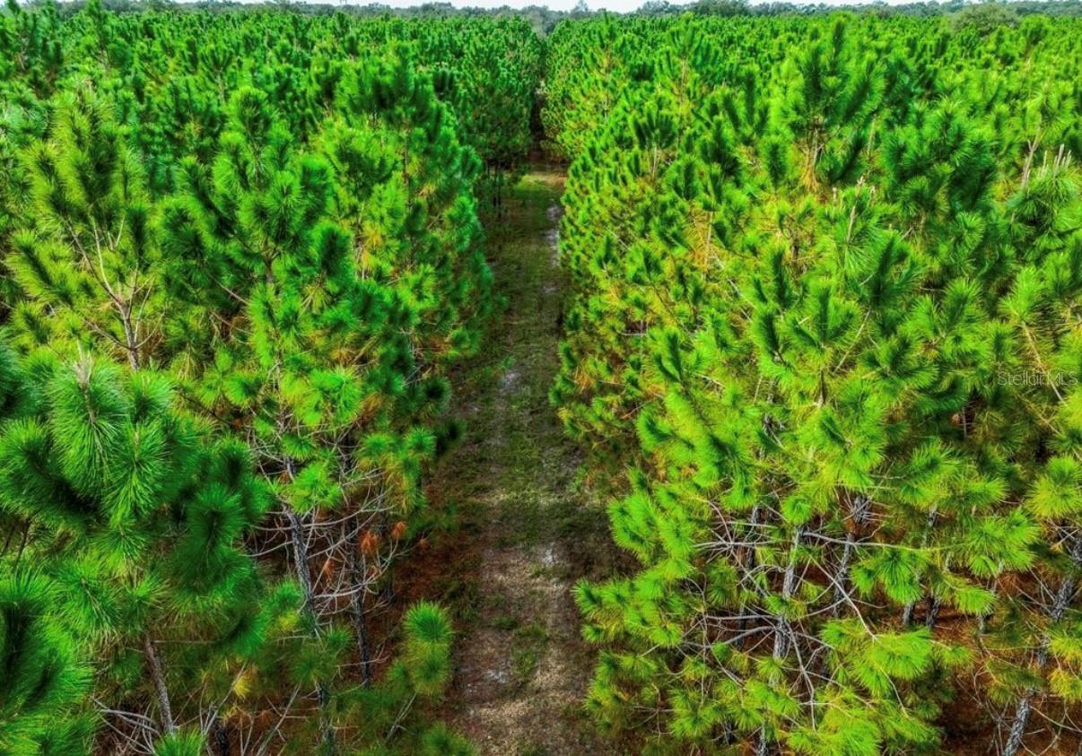 Image 8 of 33 For 000 78th Avenue