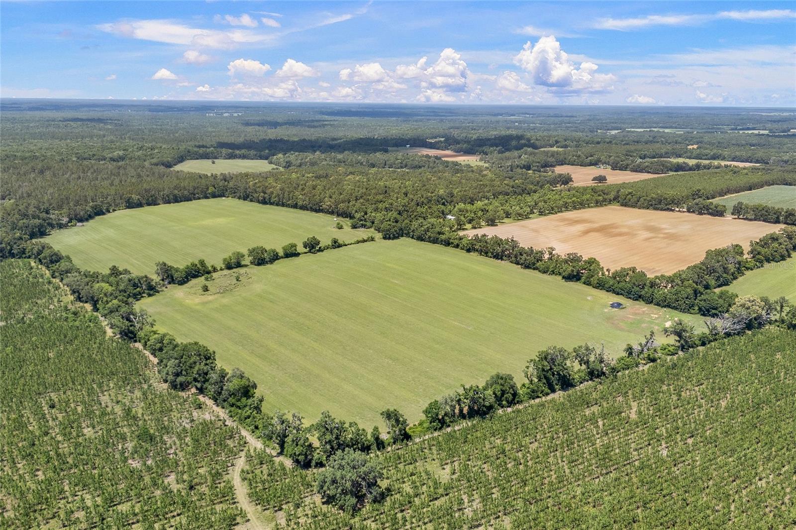 Image 11 of 39 For  227th Drive 