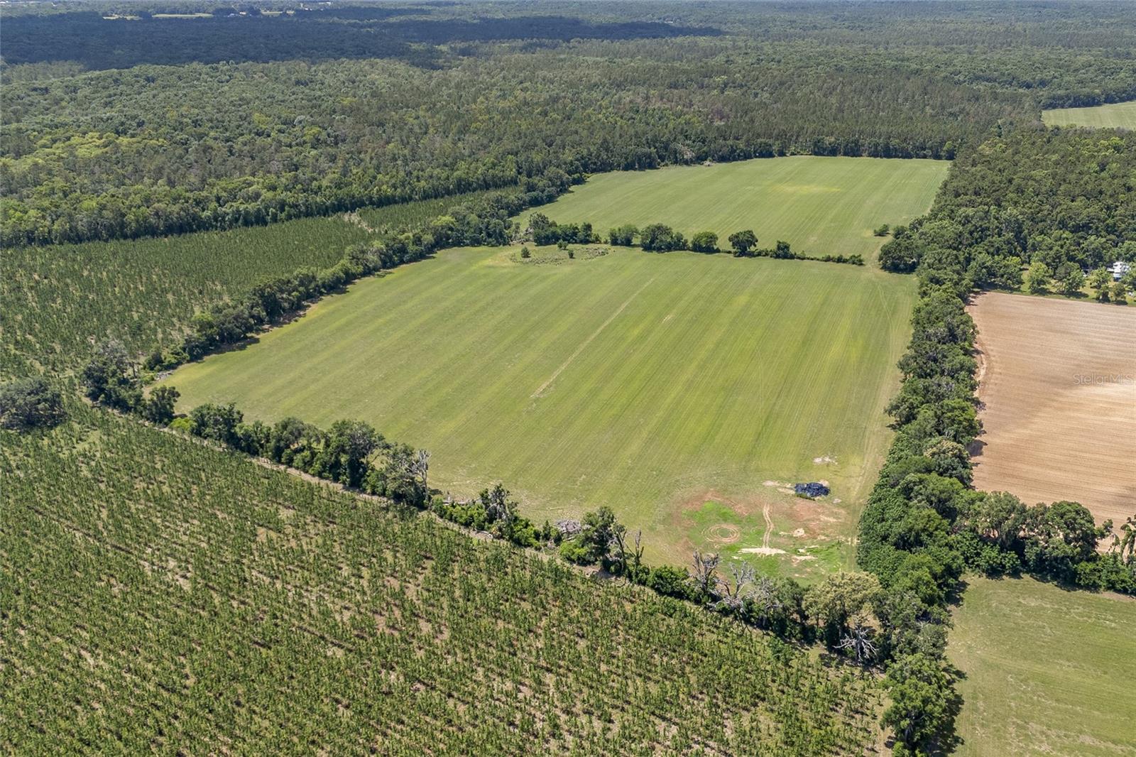 Image 15 of 39 For  227th Drive 