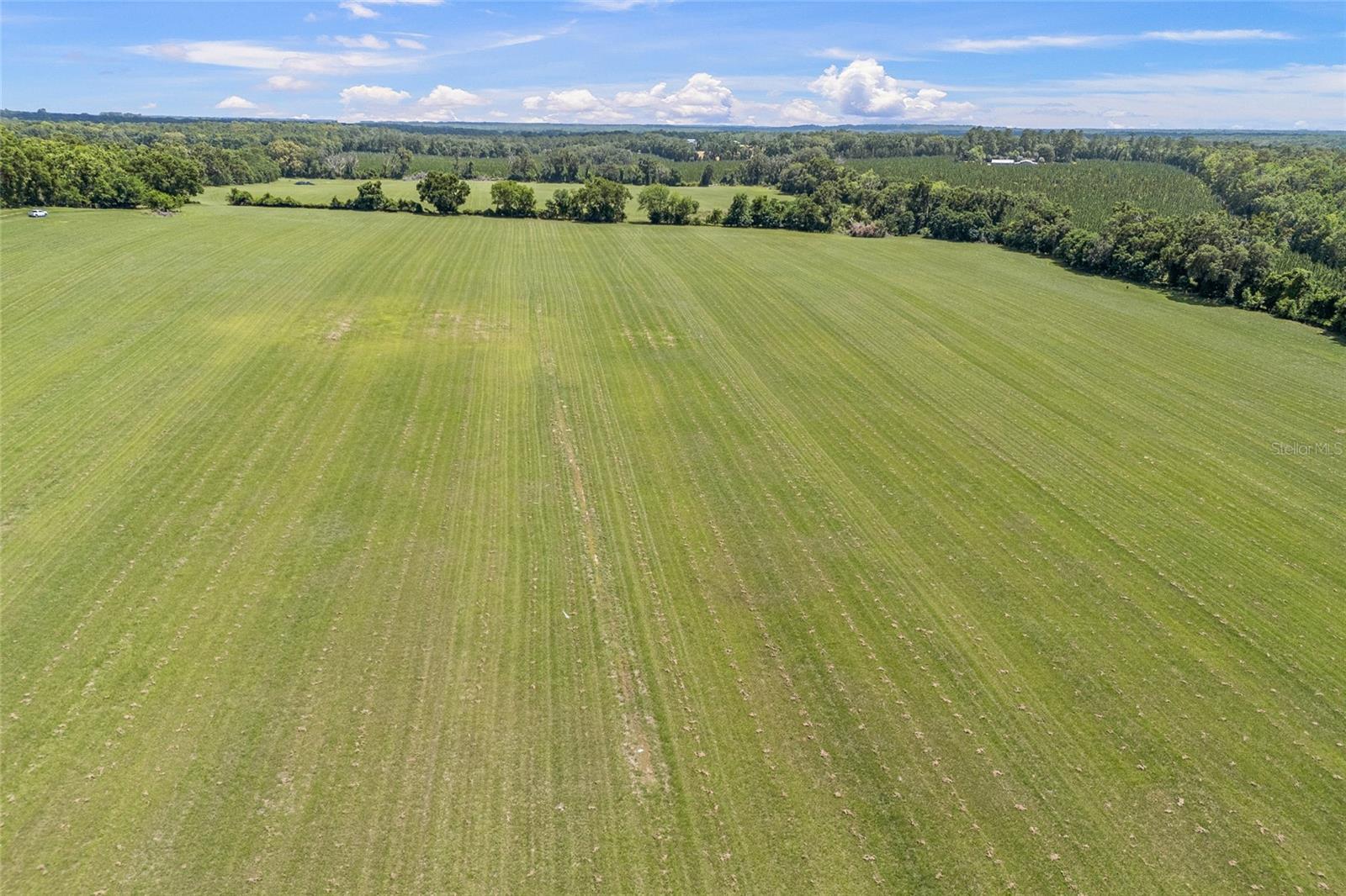 Image 36 of 39 For  227th Drive 