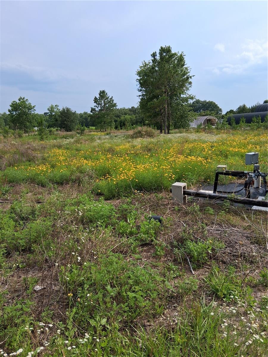 Image 19 of 22 For 15515 270th Avenue