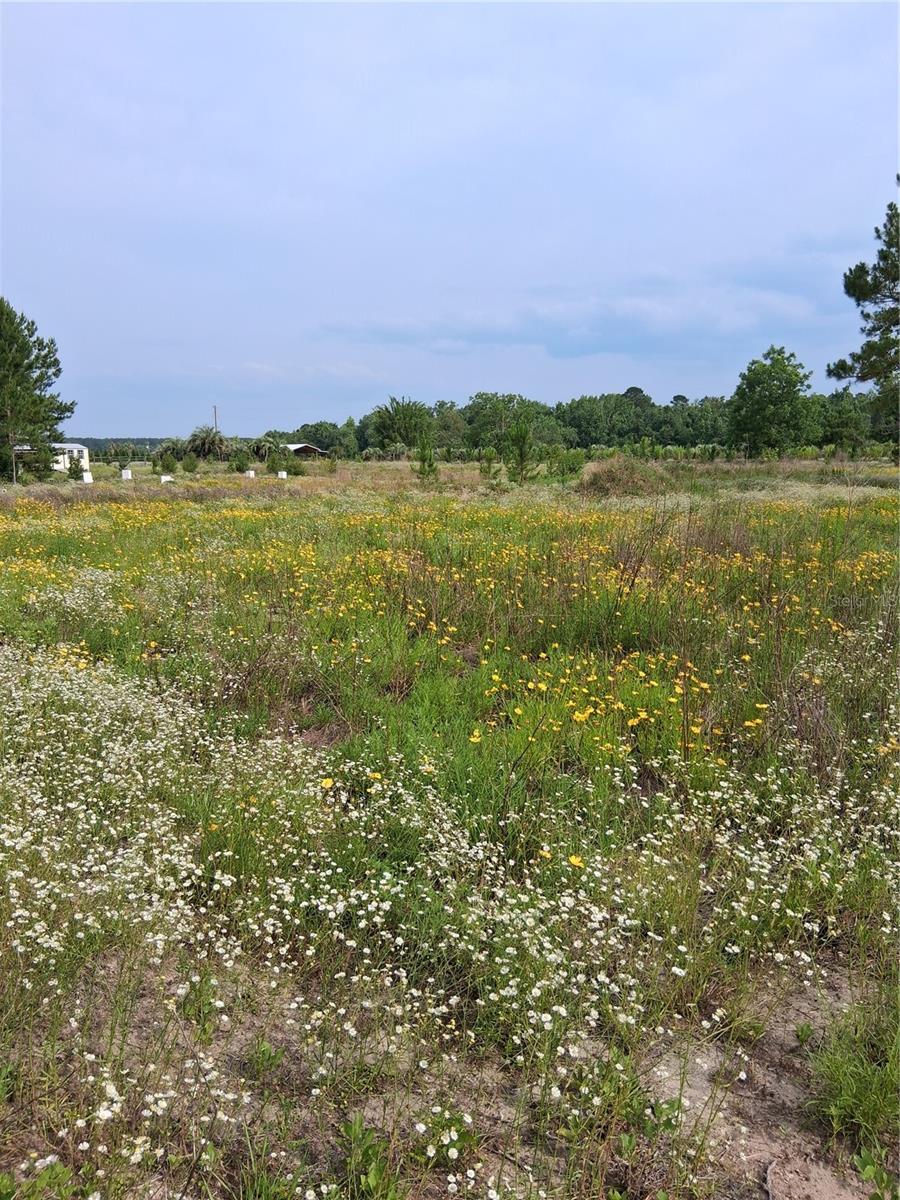 Image 20 of 22 For 15515 270th Avenue