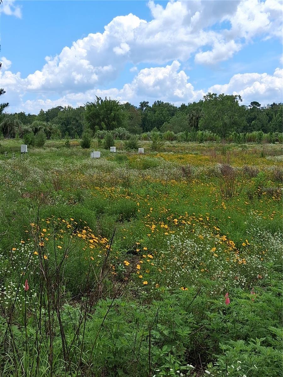 Image 21 of 22 For 15515 270th Avenue