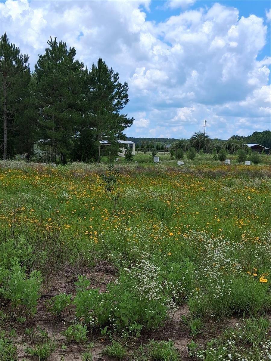 Image 22 of 22 For 15515 270th Avenue