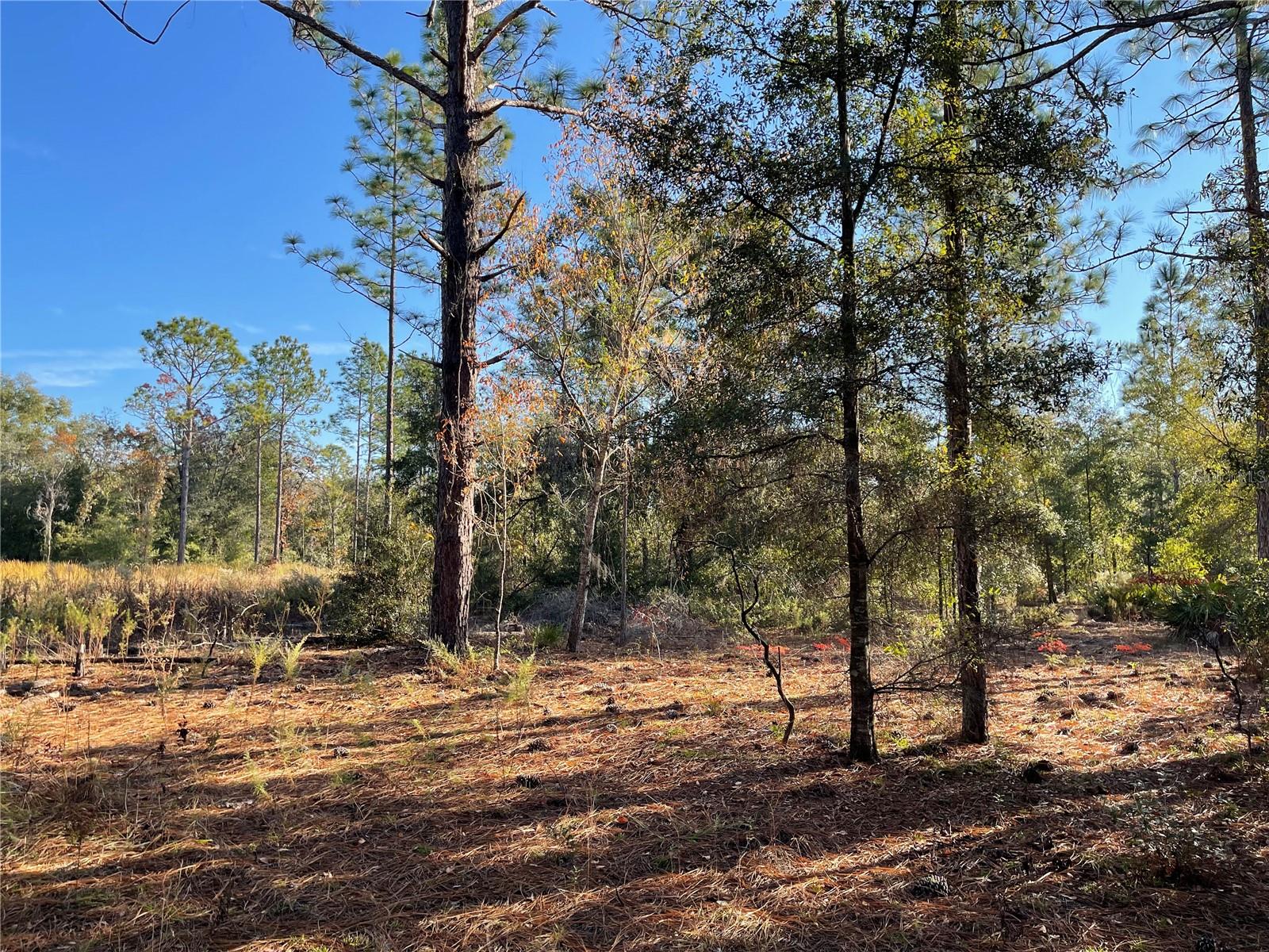 Image 2 of 8 For 9650 80th Street