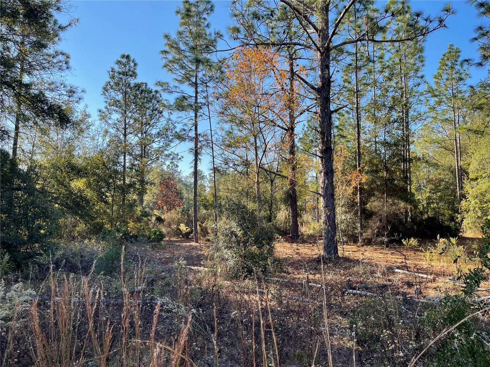 Image 3 of 8 For 9650 80th Street