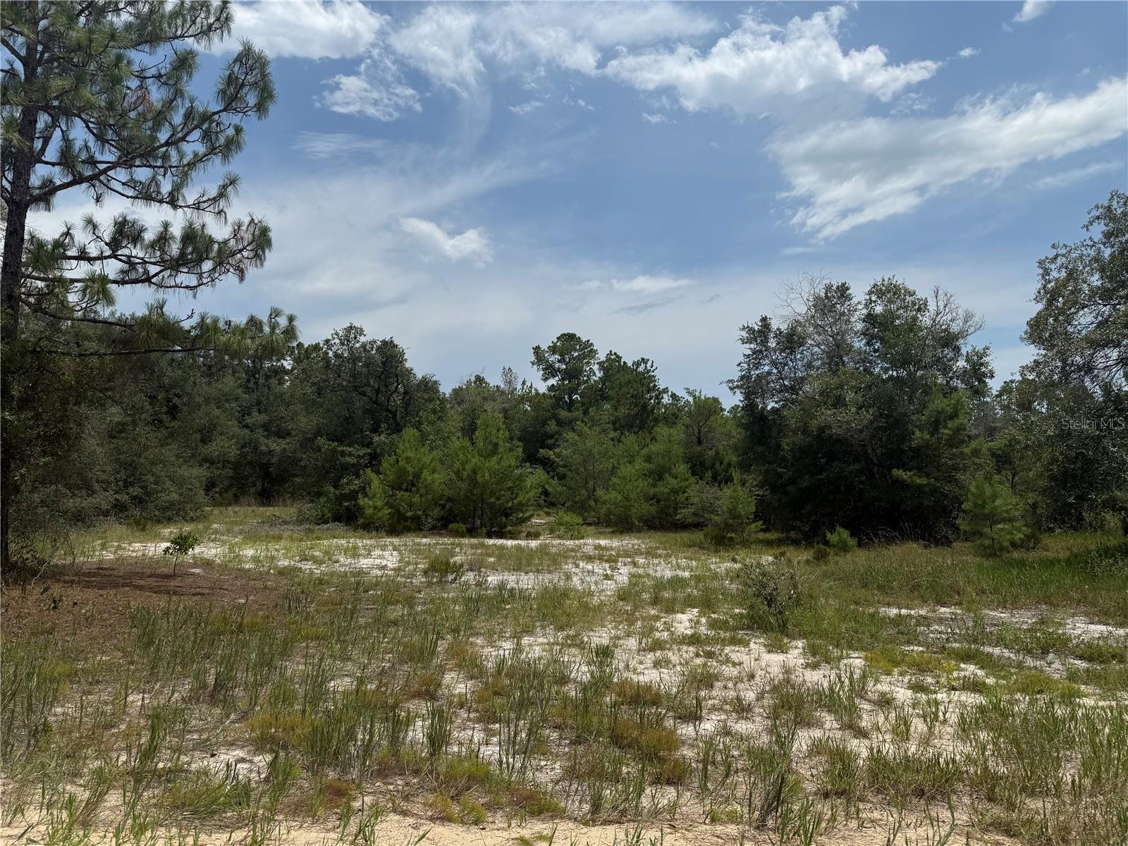 Details for 129 Viola Drive, HAWTHORNE, FL 32640