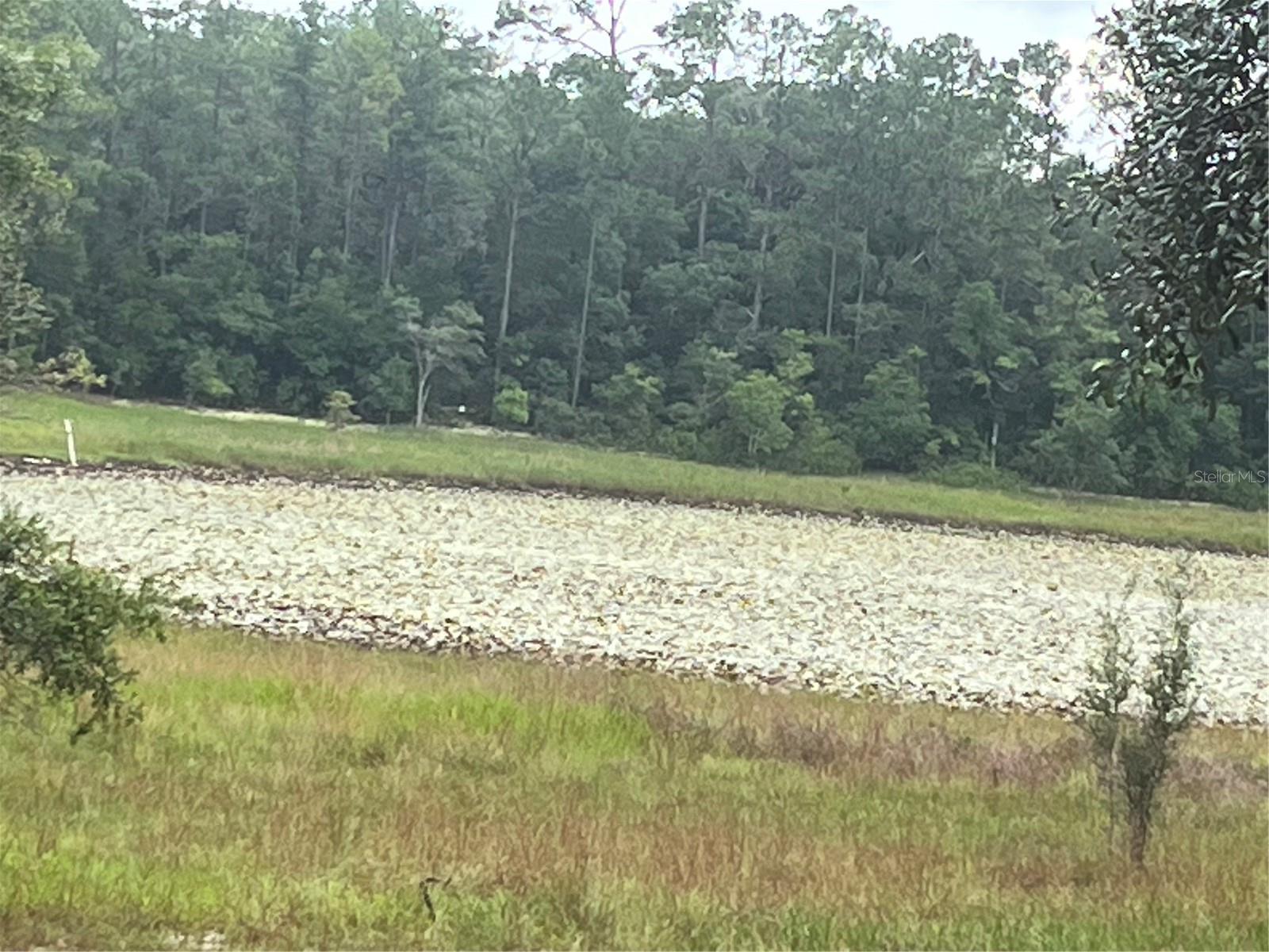 Image 2 of 4 For 129 Viola Drive