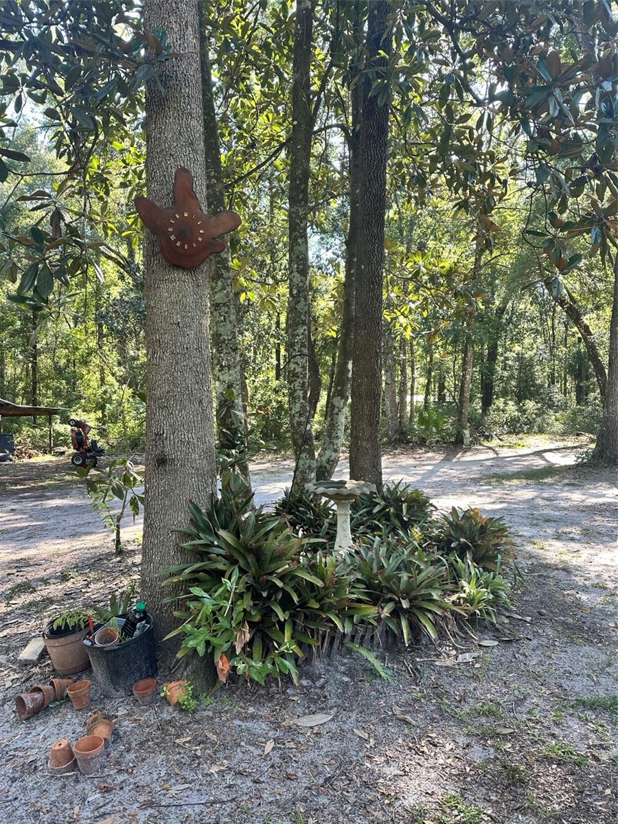 Image 24 of 44 For 79 242nd Avenue