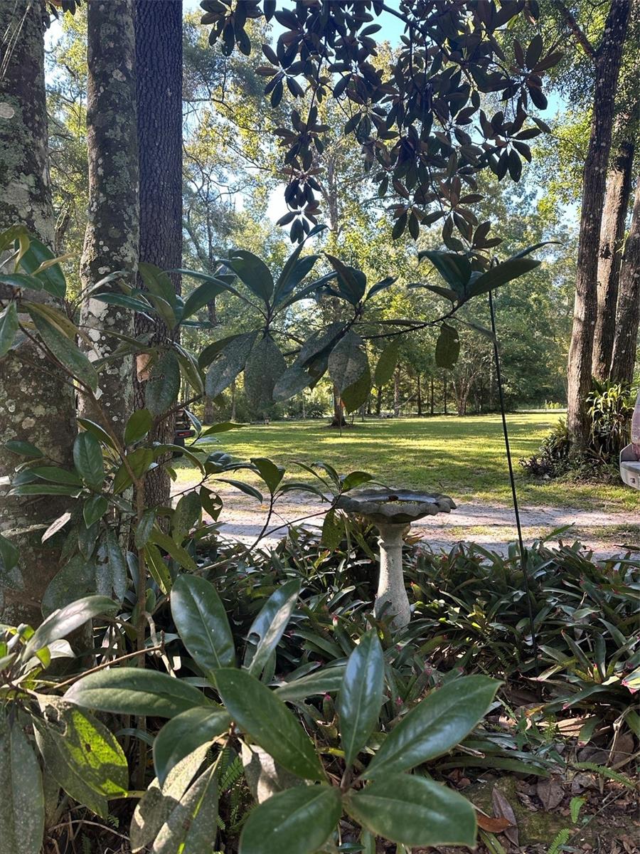 Image 25 of 44 For 79 242nd Avenue