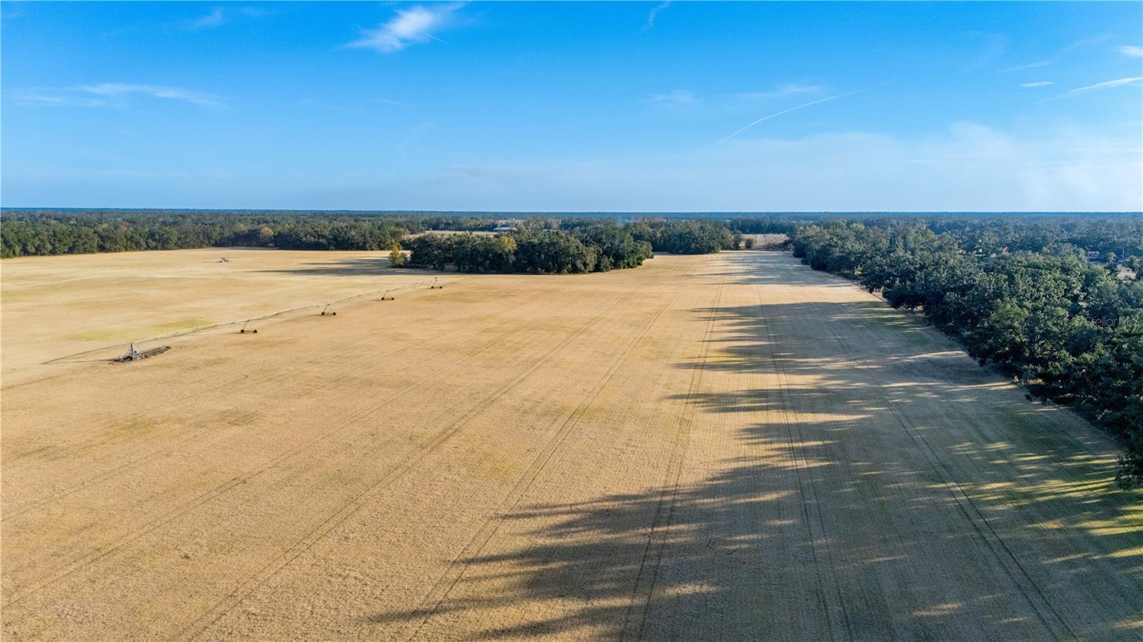 Image 46 of 97 For 18708 County Road 250