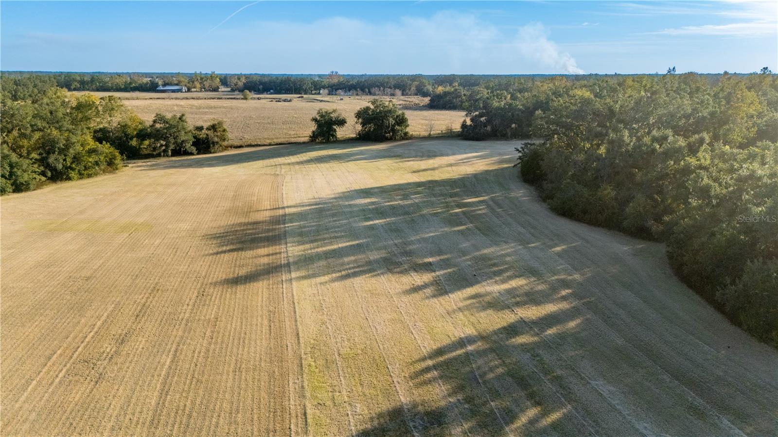 Image 48 of 97 For 18708 County Road 250