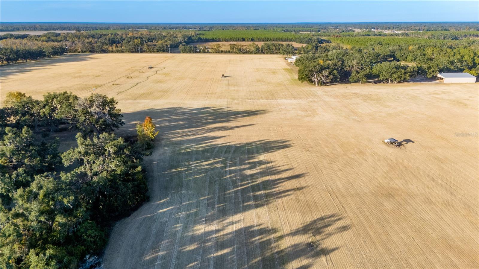 Image 51 of 97 For 18708 County Road 250