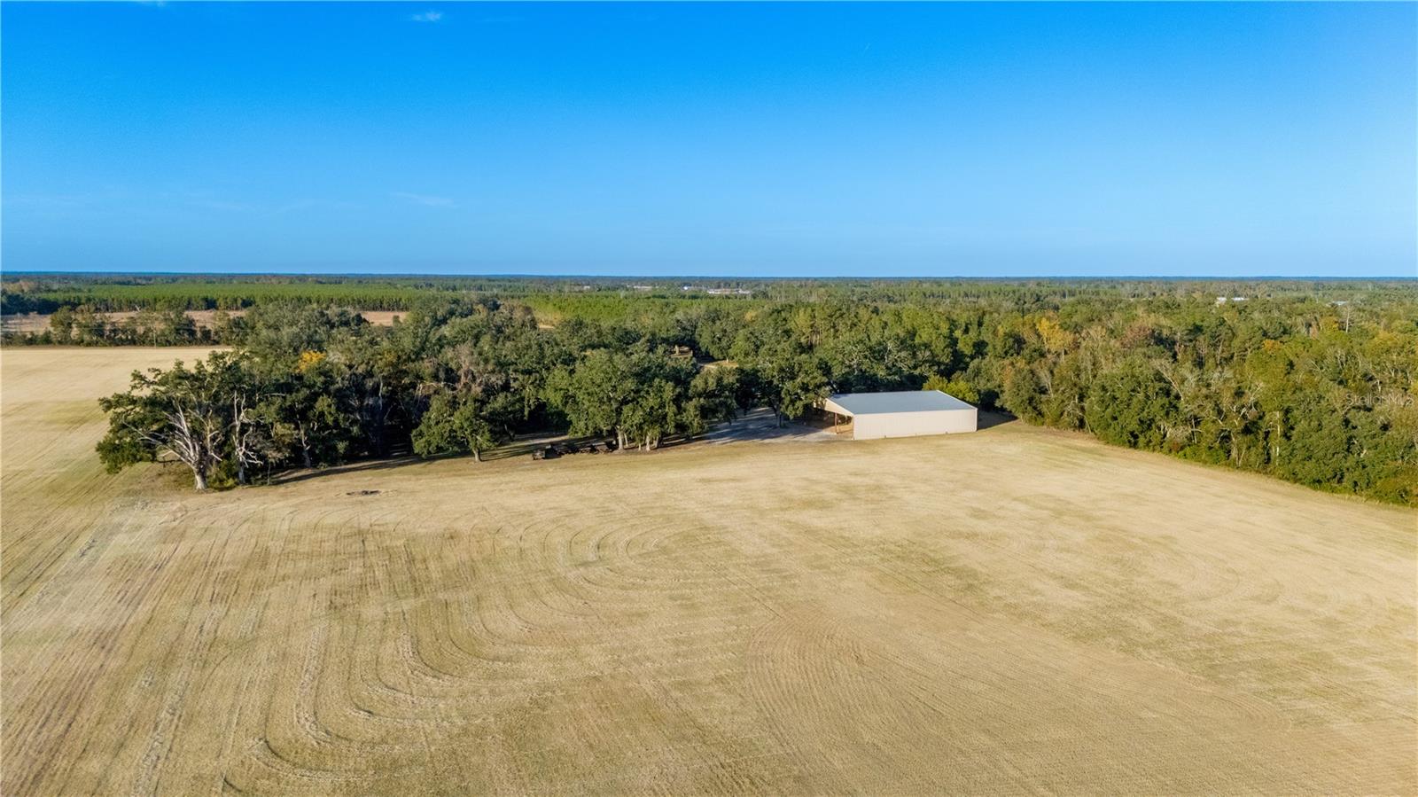 Image 57 of 97 For 18708 County Road 250