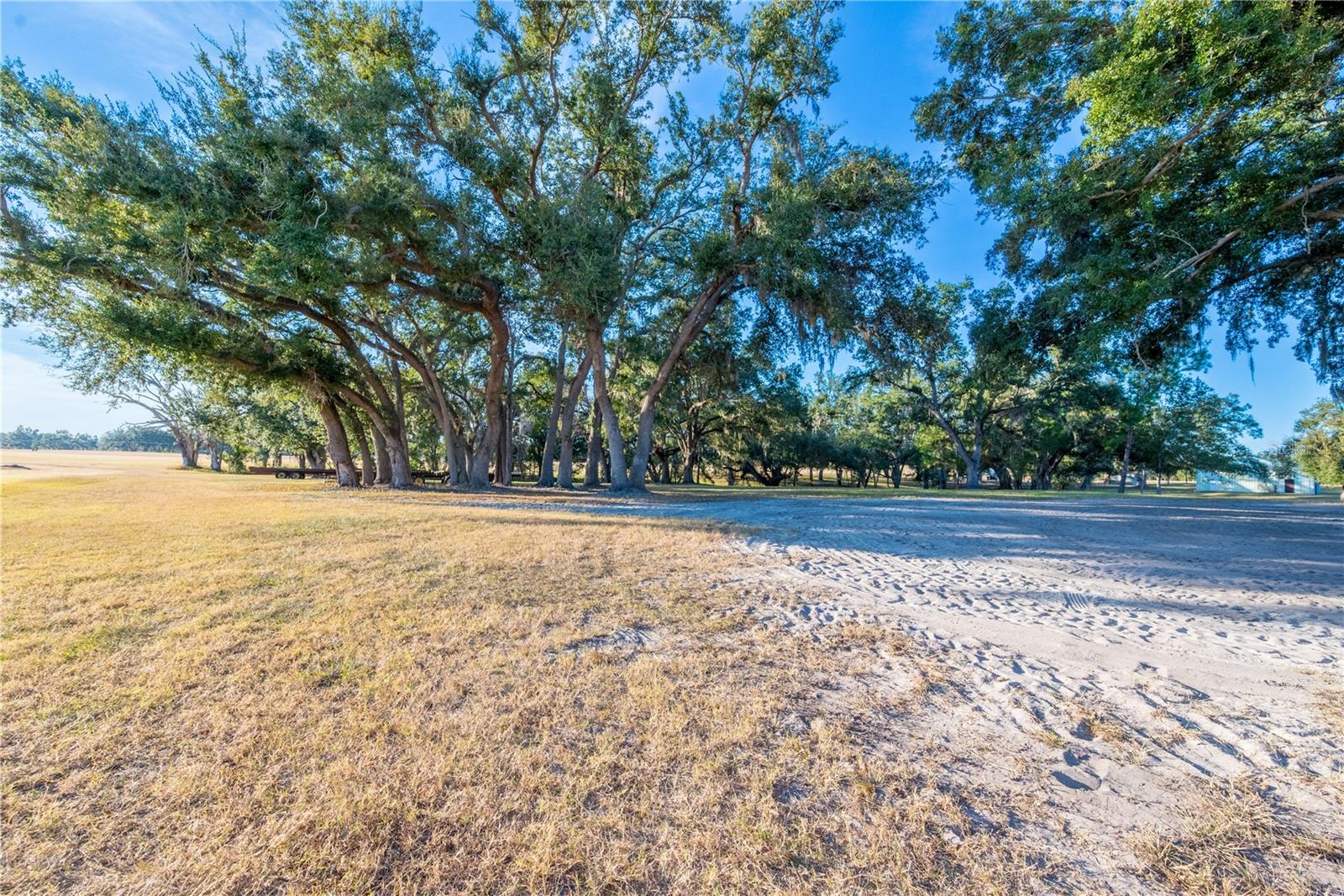 Image 95 of 97 For 18708 County Road 250