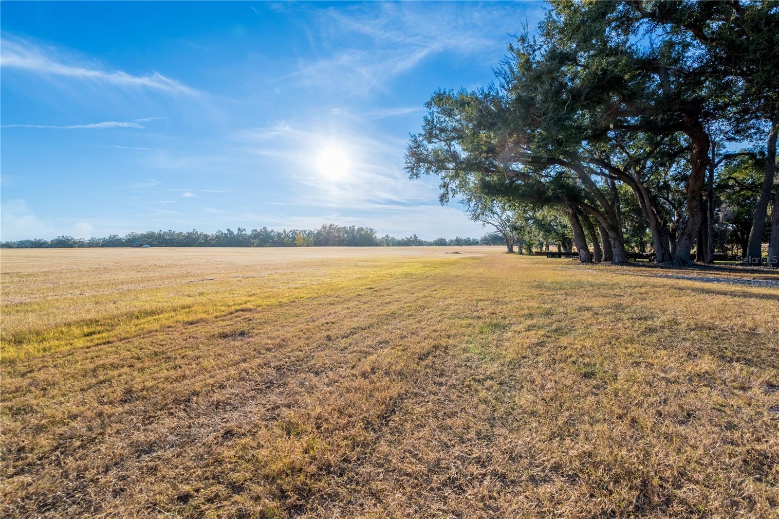 Image 96 of 97 For 18708 County Road 250