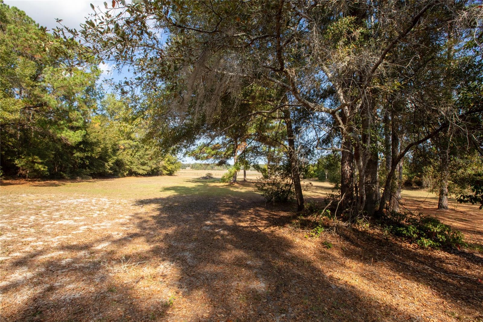 Image 19 of 80 For 730 State Road 26