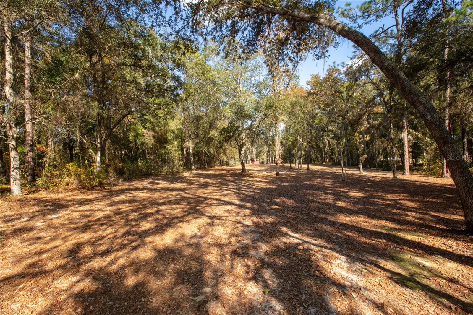 Image 80 of 80 For 730 State Road 26