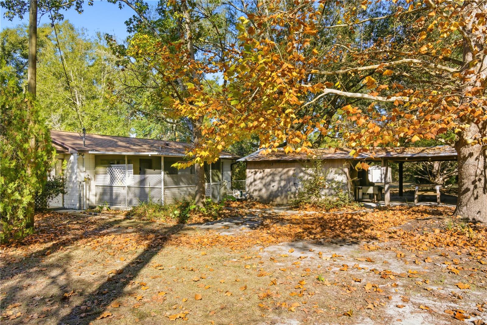 Image 11 of 51 For 3780 County Road 340