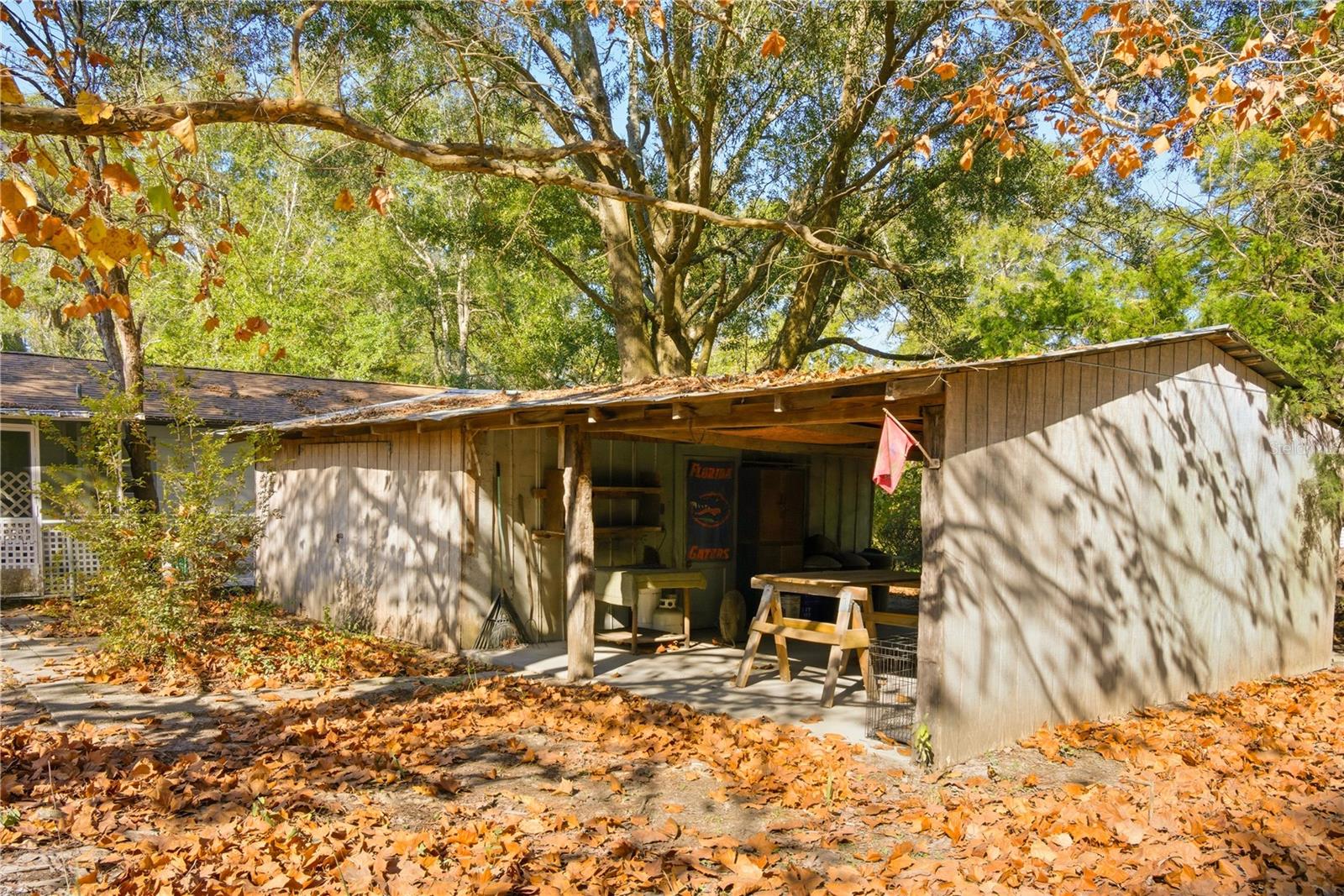 Image 12 of 51 For 3780 County Road 340